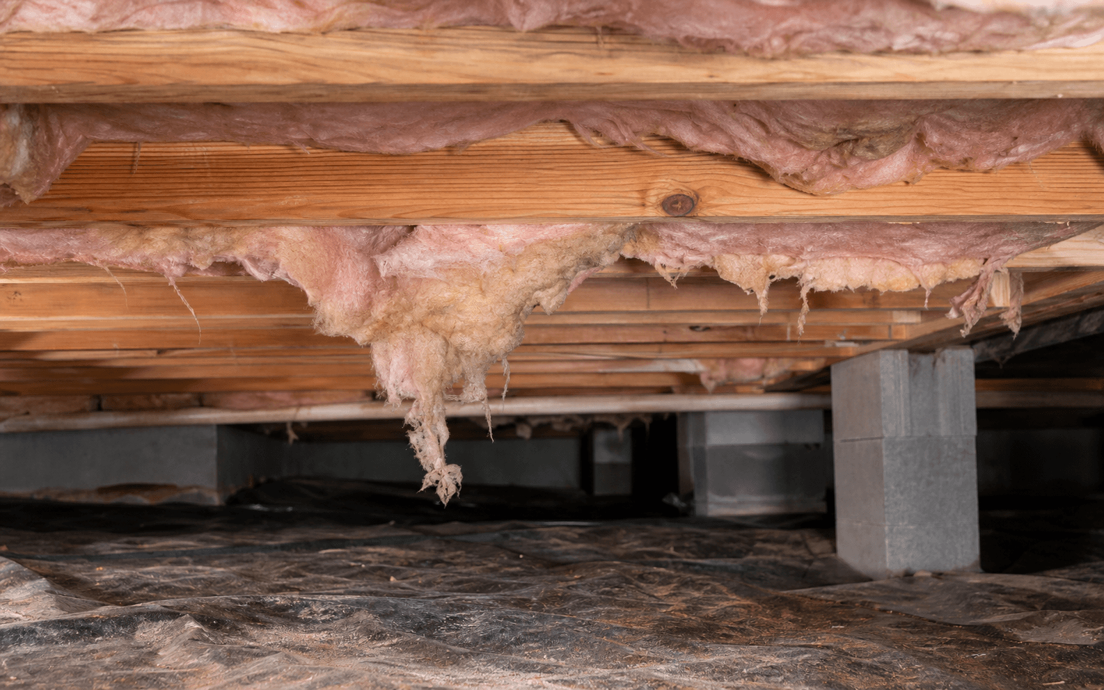 Wet and fallen fiberglass insulation hanging below crawl space floor joists